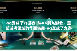 ag变成了九游会-从AG到九游会，重塑游戏领域的华丽转身-ag变成了九游会